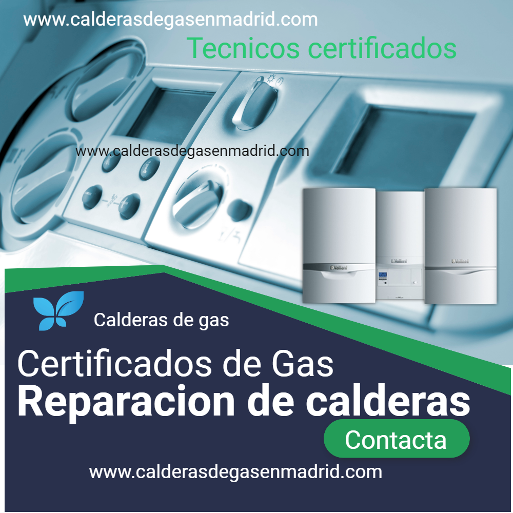 Certificados de gas o boletin de gas | Tipos